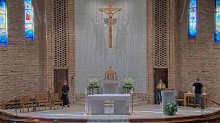 Daily Mass Tuesday - 8:15 AM - 06/23/2026