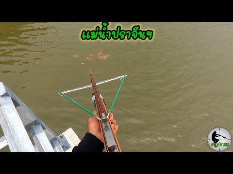 Shootfishยิงปลาทับทิมล่องเป็นฝูงหนีน้ำเค็มแม่น้ำปราจีนบุรีEp