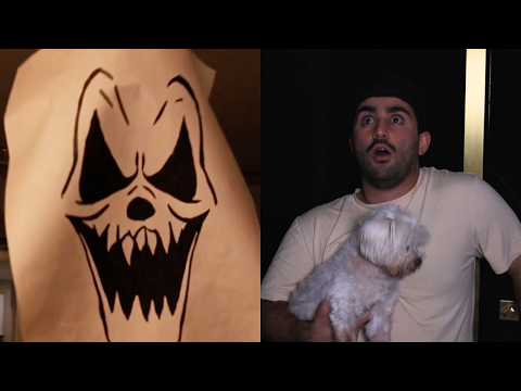 My Homework Ate My Dog - Kia Nalbandi (Official Music Video)