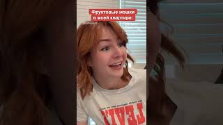 VoiceOver. Фруктовые мошки в моей квартире 🐜 - Коллмикрис - @kallmekris