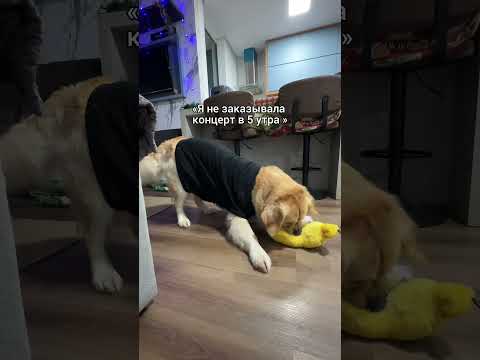 После таких слов нужно к психологу 😅