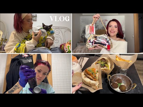 VLOG| descubriendo sitios nuevos, primeras compritas de rebajas, de nuevo en el veterinario 🍔🍒📷