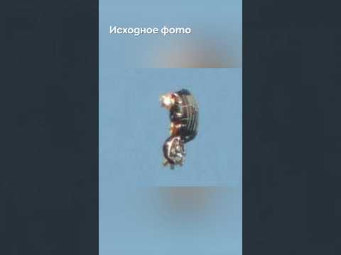 Восьмилетний НЛО снова будоражит интернет