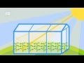 Understanding the Greenhouse Effect