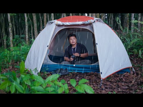 Camping in the Rain | Solo Adventure in the Quiet Forest