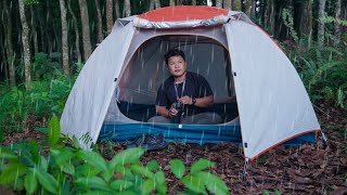 Camping in the Rain | Solo Adventure in the Quiet Forest