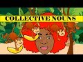 Exploring Collective Nouns and Their Usage