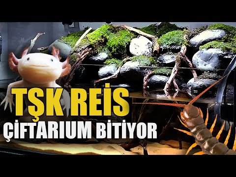 #KÇ8 AXOLOTL EV İNŞASI BİTTİ! BEN BİLE YAŞARIM.