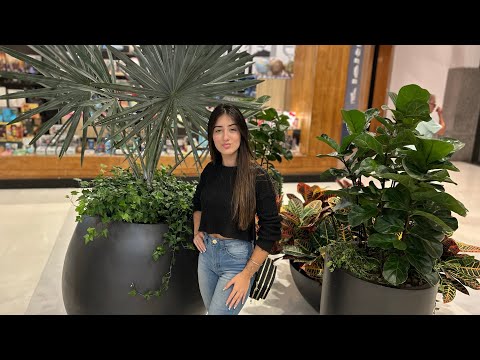 VLOG NO SHOPPING - assistimos Superman