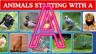Animals Starting with Letter A 🐊  | Fun Learning for Kids