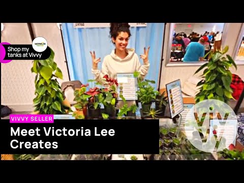Meet VICTORIA LEE CREATES_ A self-taught AQUASCAPE Meet Victoria Lee Creates, a Vivvy seller. A freshwater aquascaper from Chicago, working with nature