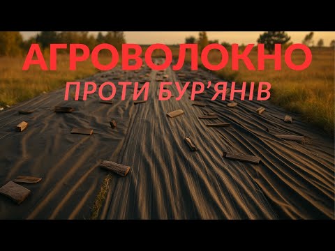 Яке агроволокно допоможе від бур'янів? Якої щільності? Що сталось з травою за 6 місяців!?!