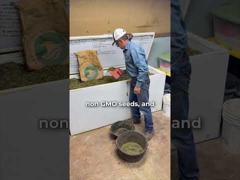 We love feeding our horses Crypto Aero it's made with great ingredients and the horses love it!