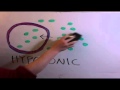Cell Membrane Functions and Processes