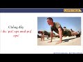 Benefits and Techniques of Push-Ups and Pull-Ups