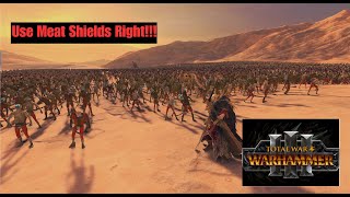 You're Using Meat Shields WRONG