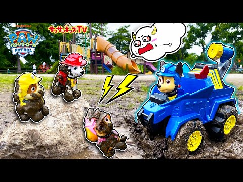 【パウ・パトロール】公園で友達が誘拐された！？チェイスやマーシャルとレスキューせよ！★子供向け知育教育★サンサンキッズTV★