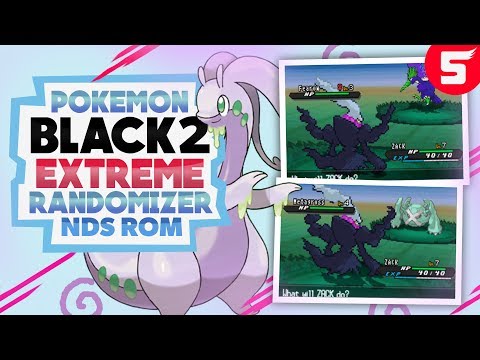what is a pokemon extreme randomizer