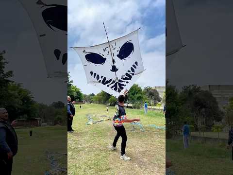 MAIOR PIPA QUE VOCÊ JA VIU