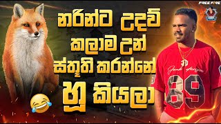 🔴බලු වැඩේ කරපු එකාට දුන්නා ශොට් එක