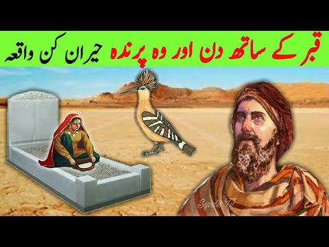 Qabar ke 7 Din AUR Wo Parinda || 7 days Of Grave and Bird || Al Quran || قصة القرآن || محمد || Allah