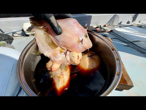 獲れたてのカワハギを醤油に4日間放置してみると...【沖漬け痛風丼】