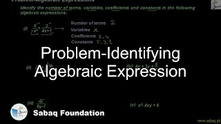 Problem-Identifying Algebraic Expression