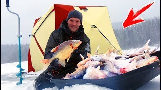видео