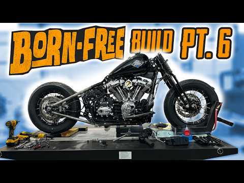 We FINALLY Got This to Work (Born Free Pt. 6)