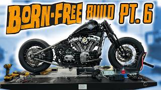 We FINALLY Got This to Work (Born Free Pt. 6)