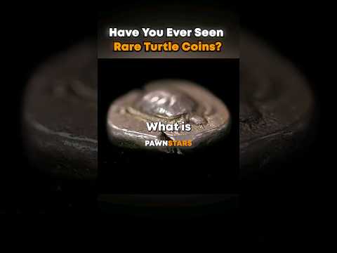 This Woman Tries to Sell Ancient Turtle Coins