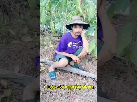 Nhìn thấy đi hết nổi luôn