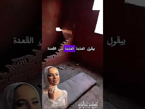 شاهد مكان قتـ ل فتاة بورسعيد #أخبار_الفن #التغطيه #السوشيال_ميديا #اكسبلور