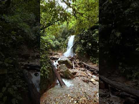 Panacam: el paraíso natural escondido de Honduras 🇭🇳🌿