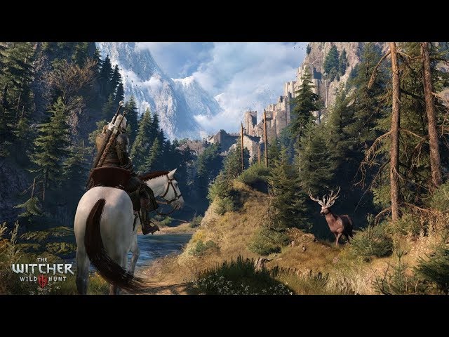 New to The Witcher 3: Wild Hunt