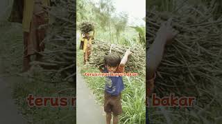 apa itu kompor gas? Lebih seru nyari kayu bakar lah #shorts