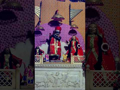 Mandir shri Madangopal ji || 5 am #krishna #radheradhe #kanha #govind