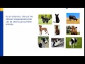 Grouping Objects by Properties and Characteristics
