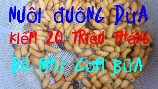 LÀM CHUỒNG TRẠI NUÔI ĐUÔNG DỪA CẦN NHỮNG GÌ?