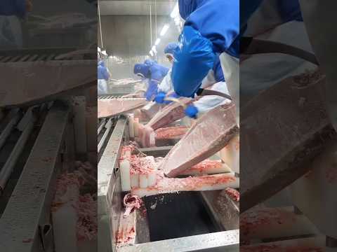 Frozen Tuna Peeling #shorts