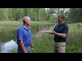 Stormwater Management and Ecological Benefits