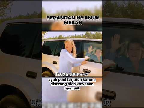 Serangan nyamuk merah #alurfilm