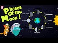 Exploring the Phases of the Moon