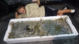 動画サムネイル