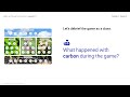 Carbon Cycle Dynamics in Ecosystems