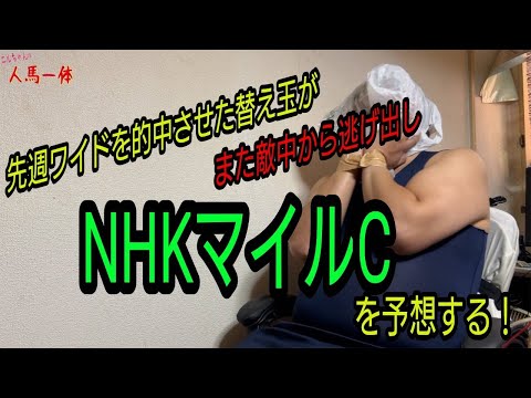 ニルベース齋藤の『人馬一体』season4 #27　NHKマイルカップ(2024/05/05)の予想