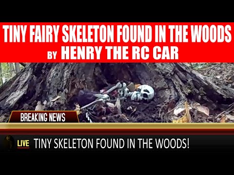 TINY FAIRY SKELETON FOUND IN THE WOODS