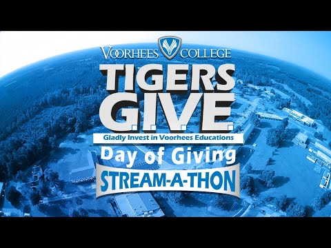 2020 Day of Giving Streamathon