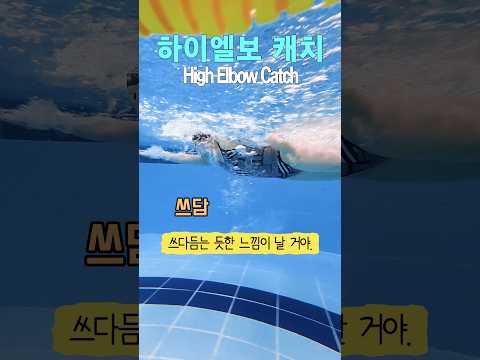 하이엘보 캐치를 배워볼게요~! 팔꿈치 세우면 수영 속도 무조건 바뀝니다 🚫🏊‍♂️