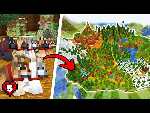 I Built a Wolf Sanctuary in Minecraft Hardcore | 1.21 Let's Play | Episode 5